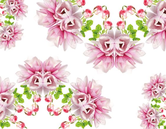Unter den Magnolien | Sous les Magnolias