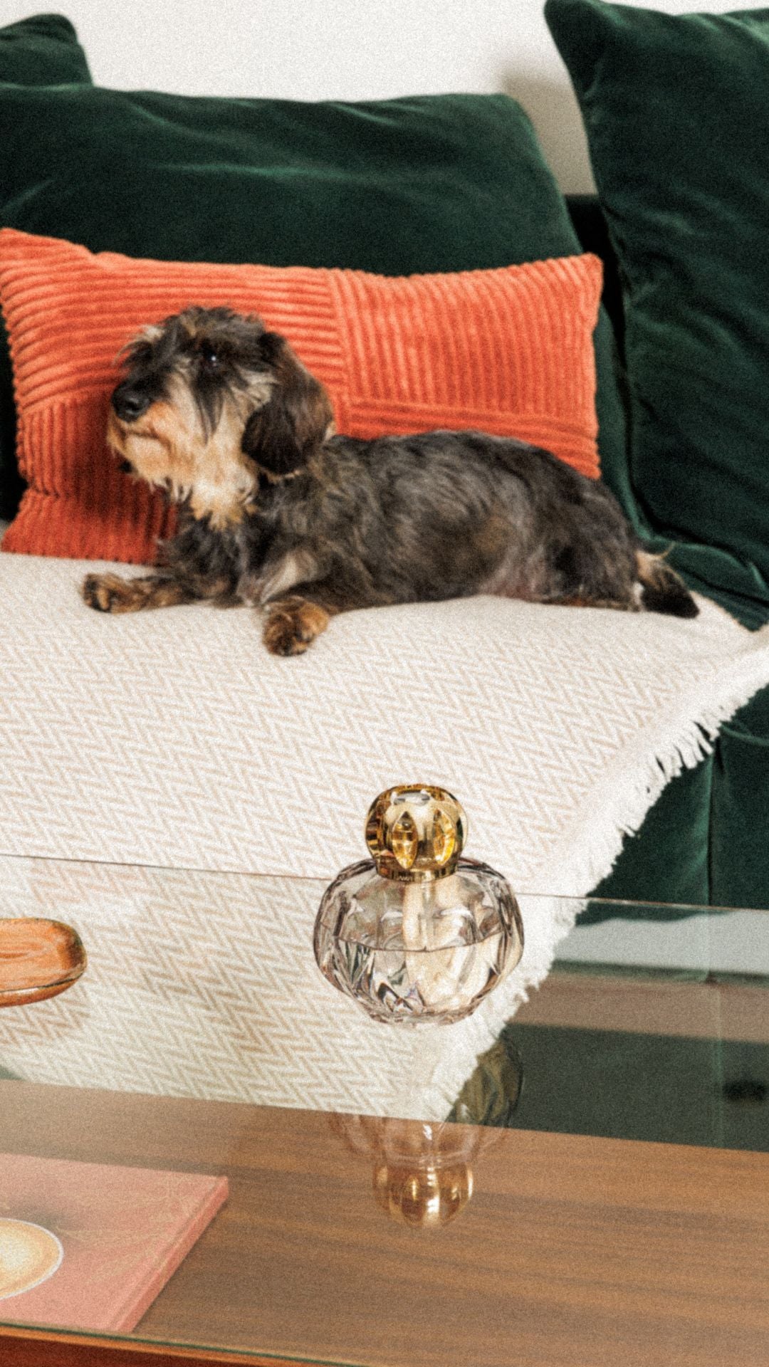 Lampe Berger - Maison Berger offizieller Onlineshop DE - AT