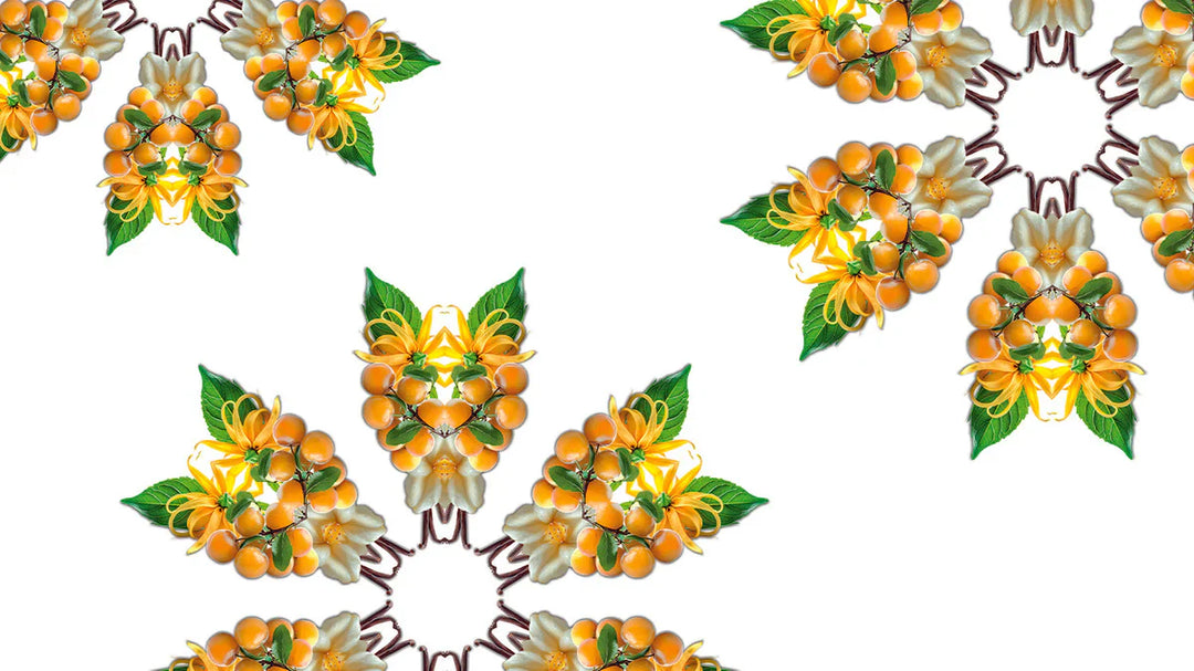 Sonnige Früchte | Soleil Fruité