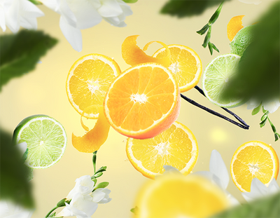 fruchtig  Fruchtige Orange Lampe Berger - Maison Berger offizieller Onlineshop DE - AT