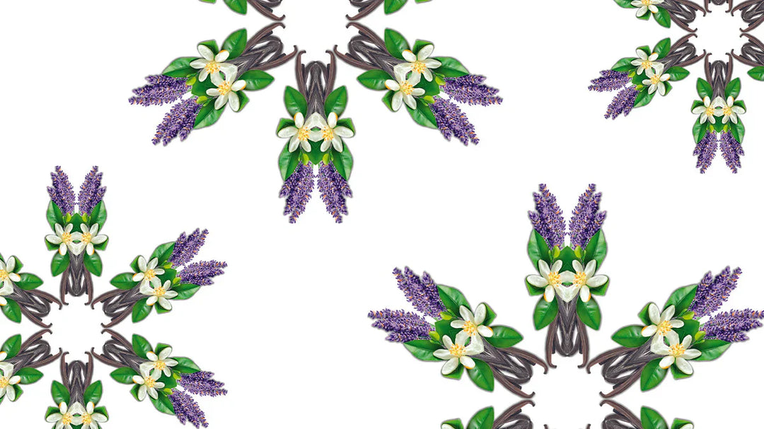 Florale Harmonie | Lumière Florale