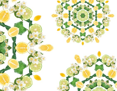 fruchtig  Zitronenblüte Lampe Berger - Maison Berger offizieller Onlineshop DE - AT