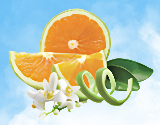 Prickelnde Orangenzesten | Zeste d'Orange Verte