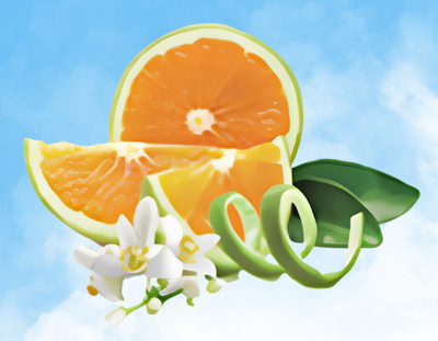 Prickelnde Orangenzesten | Zeste d'Orange Verte  Prickelnde Orangenzesten Lampe Berger - Maison Berger offizieller Onlineshop DE - AT