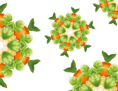 fruchtig  Spritzige Mandarine Lampe Berger - Maison Berger offizieller Onlineshop DE - AT