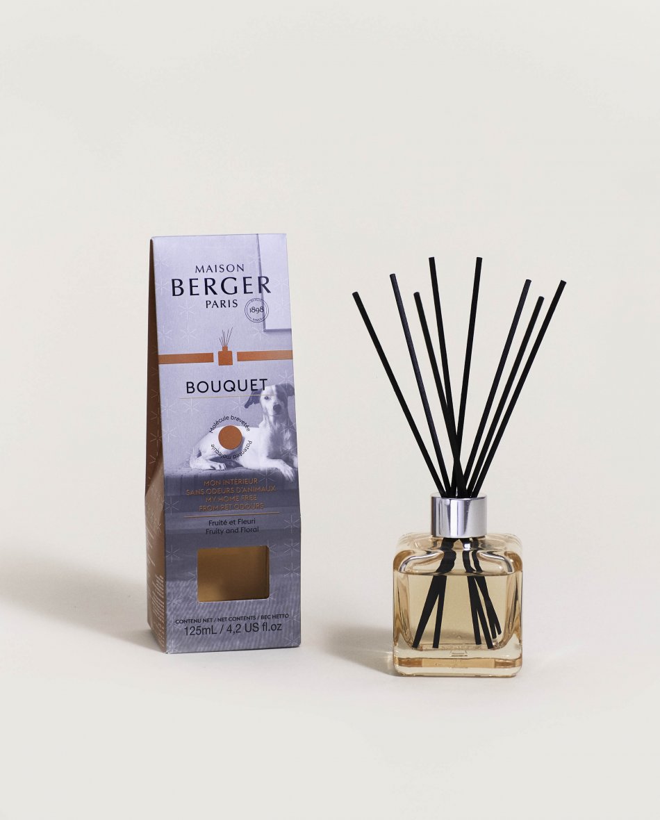Mein Zuhause ohne Tiergerüche Raumduft Diffuser Lampe Berger - Maison Berger offizieller Onlineshop DE - AT