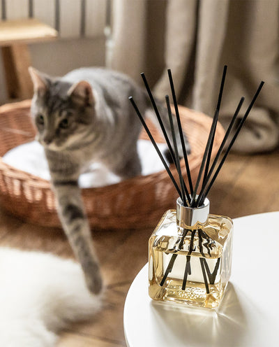 Orientalischer Traum Raumduft Diffuser